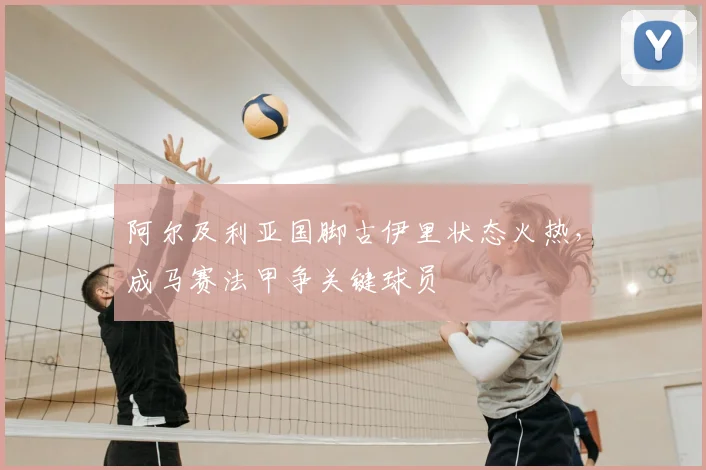 阿尔及利亚国脚古伊里状态火热，成马赛法甲争关键球员